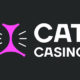 Cat Casino